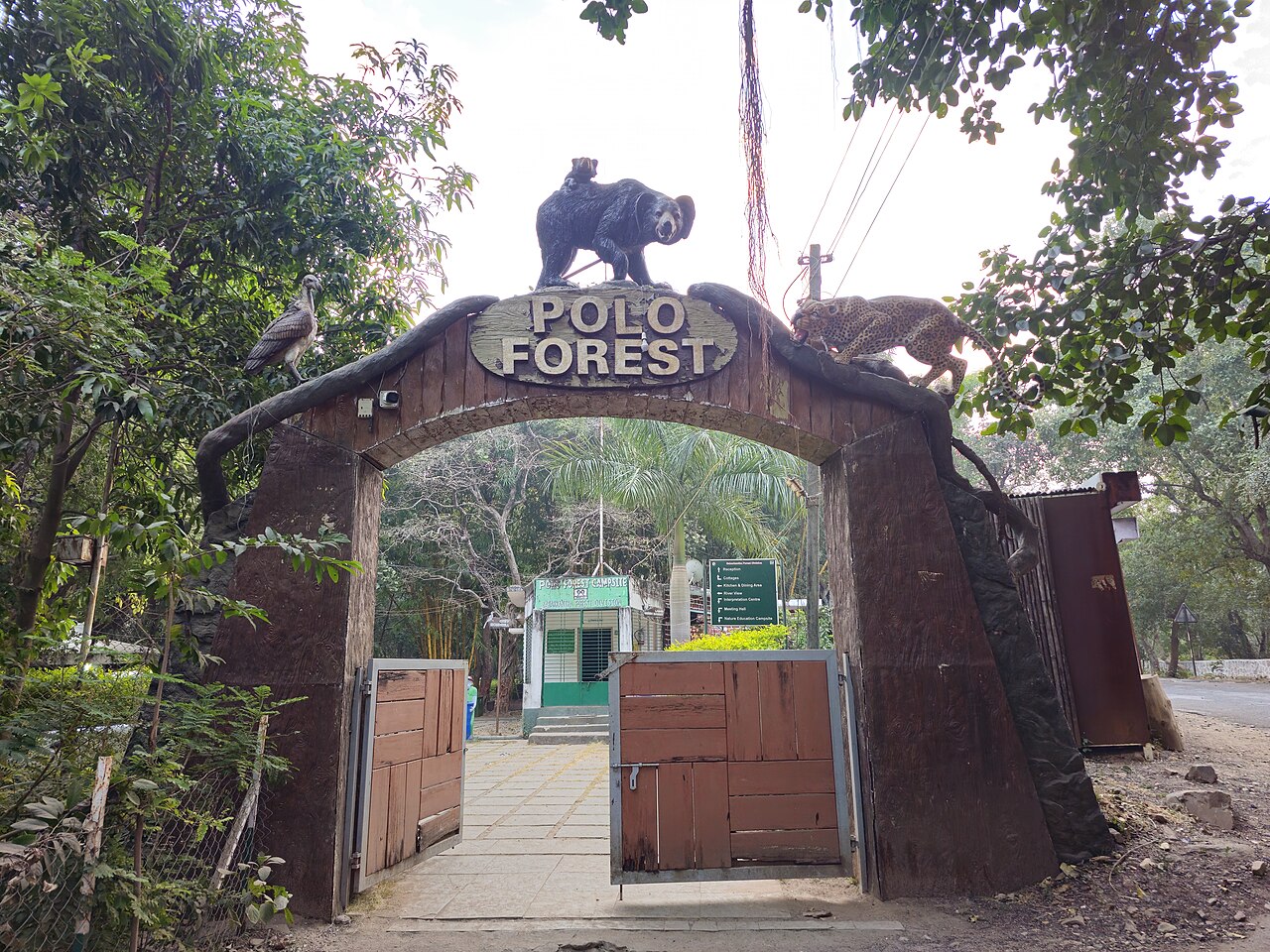 Polo Forest
